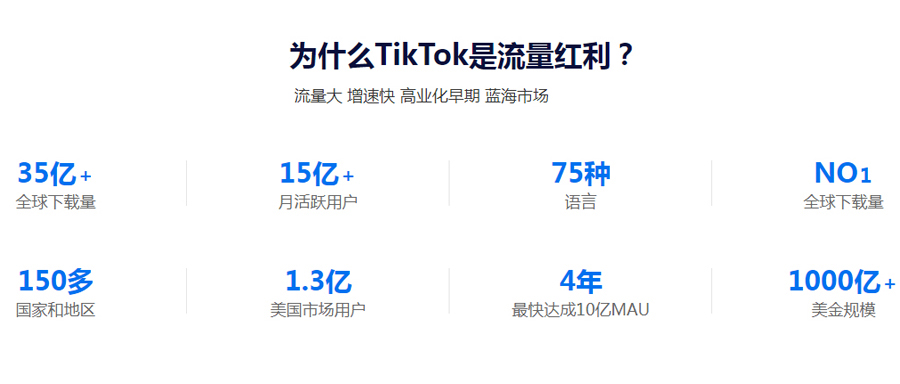 谷歌广告Tiktok推广 第3张
